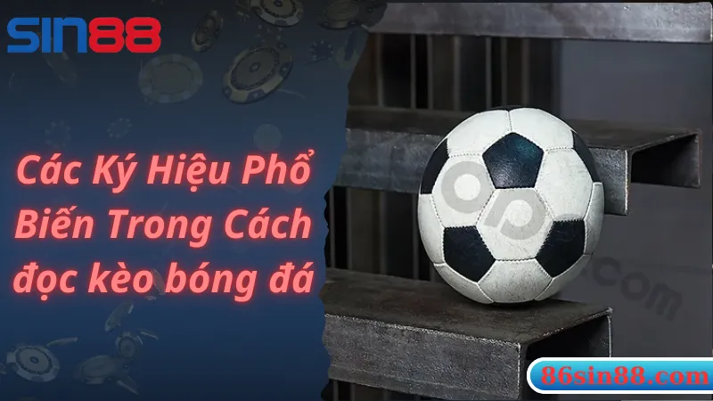 Những ký hiệu quan trọng trong cách đọc kèo bóng đá